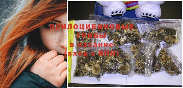 круглые Алексеевка