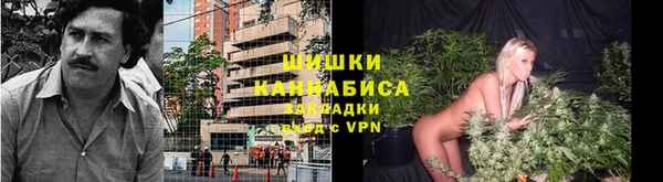 метадон Алексин