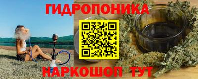 дмт Шелехов