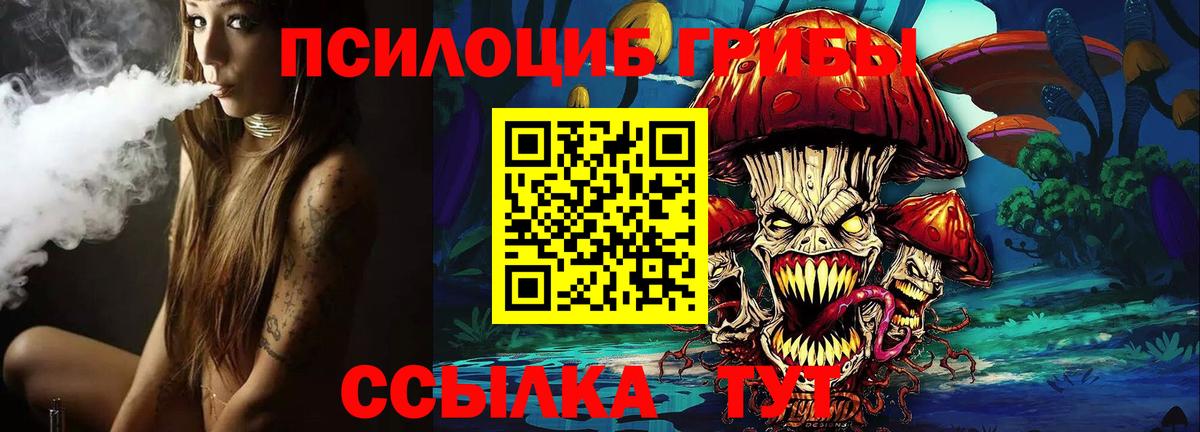 Псилоцибиновые грибы прущие грибы Пермь