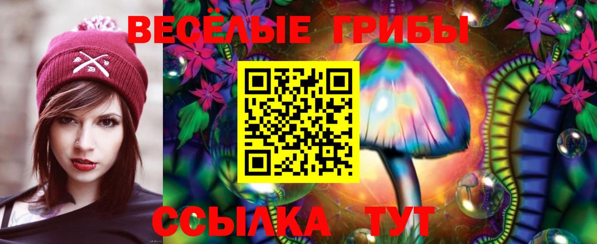 Галлюциногенные грибы мухоморы  купить  сайты  Пермь  Псилоцибиновые грибы Psilocybe  Вход с VPN 